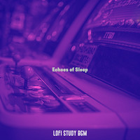 Lofi Study BGM - Echoes of Sleep