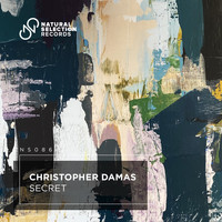 Christopher Damas - SECRET