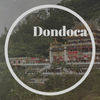 Various Artist - Dondoca