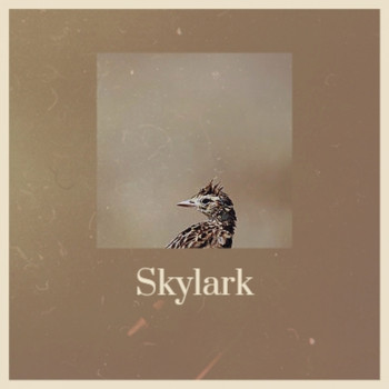 Various Artist - Skylark