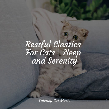 Cat Music Therapy, Music For Cats Peace, Jazz Music Therapy for Cats - Restful Classics For Cats | Sleep and Serenity