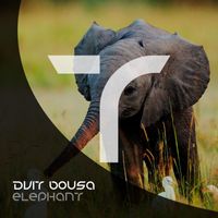 Dvit Bousa - Elephant