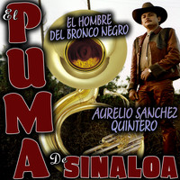 El Puma De Sinaloa - El Hombre del Bronco Negro