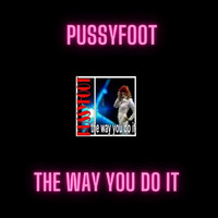 Pussyfoot - The Way You Do It