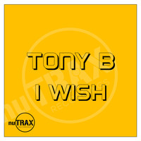 Tony B - I Wish (Explicit)