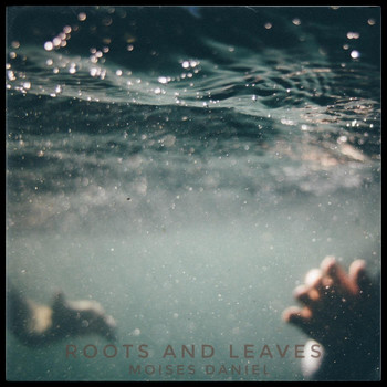 Moises Daniel - Roots and Leaves