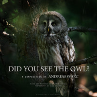 Andreas Svarc - Did You See the Owl?