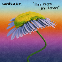 Waltzer - I'm Not in Love