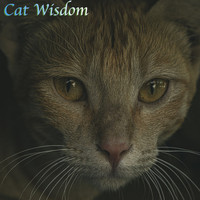 Music for Cats, Cat Music, Cats Music Zone - Cat Wisdom