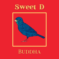 Sweet D - Buddha