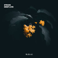 Stegin - Deep Live