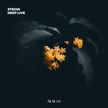 Stegin - Deep Live