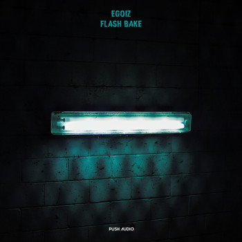 Egoiz - Flash Bake