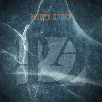 Various Artists - White House