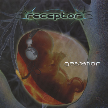 Receptor - gestation