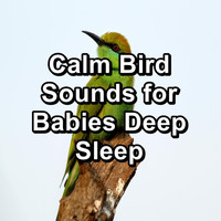 Animal and Bird Songs - Calm Bird Sounds for Babies Deep Sleep
