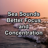 Chakra - Sea Sounds Better Focus and Concentration
