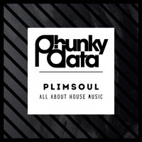 Plimsoul - All About House Music