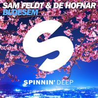 Sam Feldt and De Hofnar - Bloesem