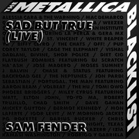 Sam Fender - Sad But True (Live)