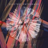 Electric Entourage - You Look So High