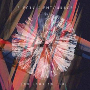 Electric Entourage - You Look So High