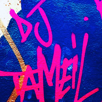 DJ TaMeiL - Where You From / Own It