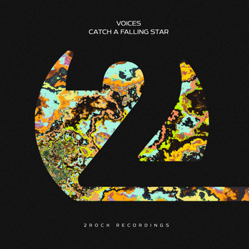 Voices - Catch A Falling Star