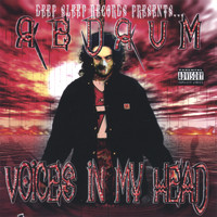 Redrum - Voices in My Head