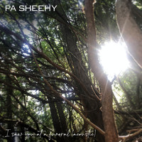 Pa Sheehy - I Saw You At A Funeral (Acoustic)