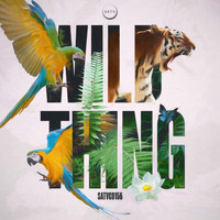 SATV Music - Wild Thing