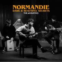 Normandie - Chemicals (Acoustic Version)