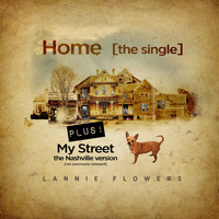 Lannie Flowers - Home (Big Stir Single No. 141)
