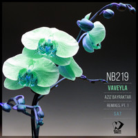 Aziz Bayraktar - Vaveyla, Pt. 1 (Remixes)