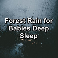 Binaural Beats Sleep - Forest Rain for Babies Deep Sleep