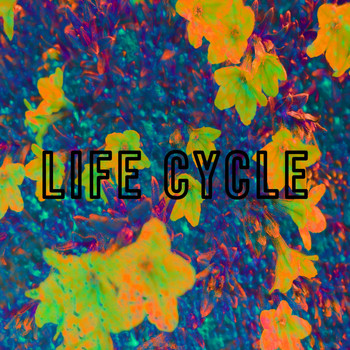 Brad Majors - Life Cycle
