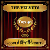 The Velvets - Tonight (Could Be the Night) (Billboard Hot 100 - No 26)