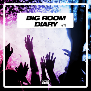 Various Artists - Big Room Diary, Vol. 15 (Explicit)