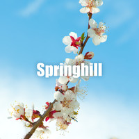 Ocb Relax - Springhill