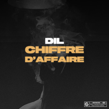 Dil - Chiffre d'affaire
