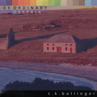 T.K. Bollinger - Ordinary Despair