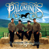 Los Palominos - Me Enamoré de un Ángel