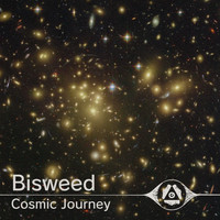 Bisweed - Cosmic Journey
