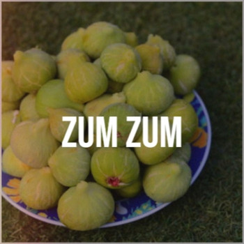 Various Artist - Zum Zum