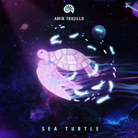 Amir Trujillo - Sea Turtle