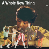 Sly & The Family Stone - A Whole New Thing