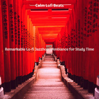 Calm Lofi Beats - Remarkable Lo-fi Jazzhop - Ambiance for Study Time