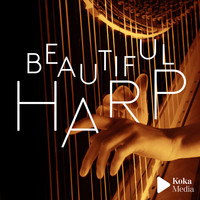 Fred Dubois - Beautiful Harp
