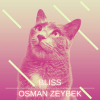Osman Zeybek - Bliss