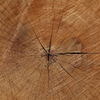 Avalanche - Wood